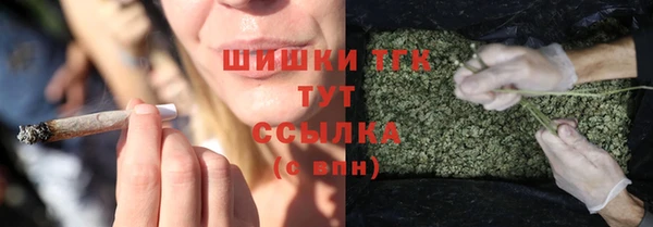 сатива Ахтубинск